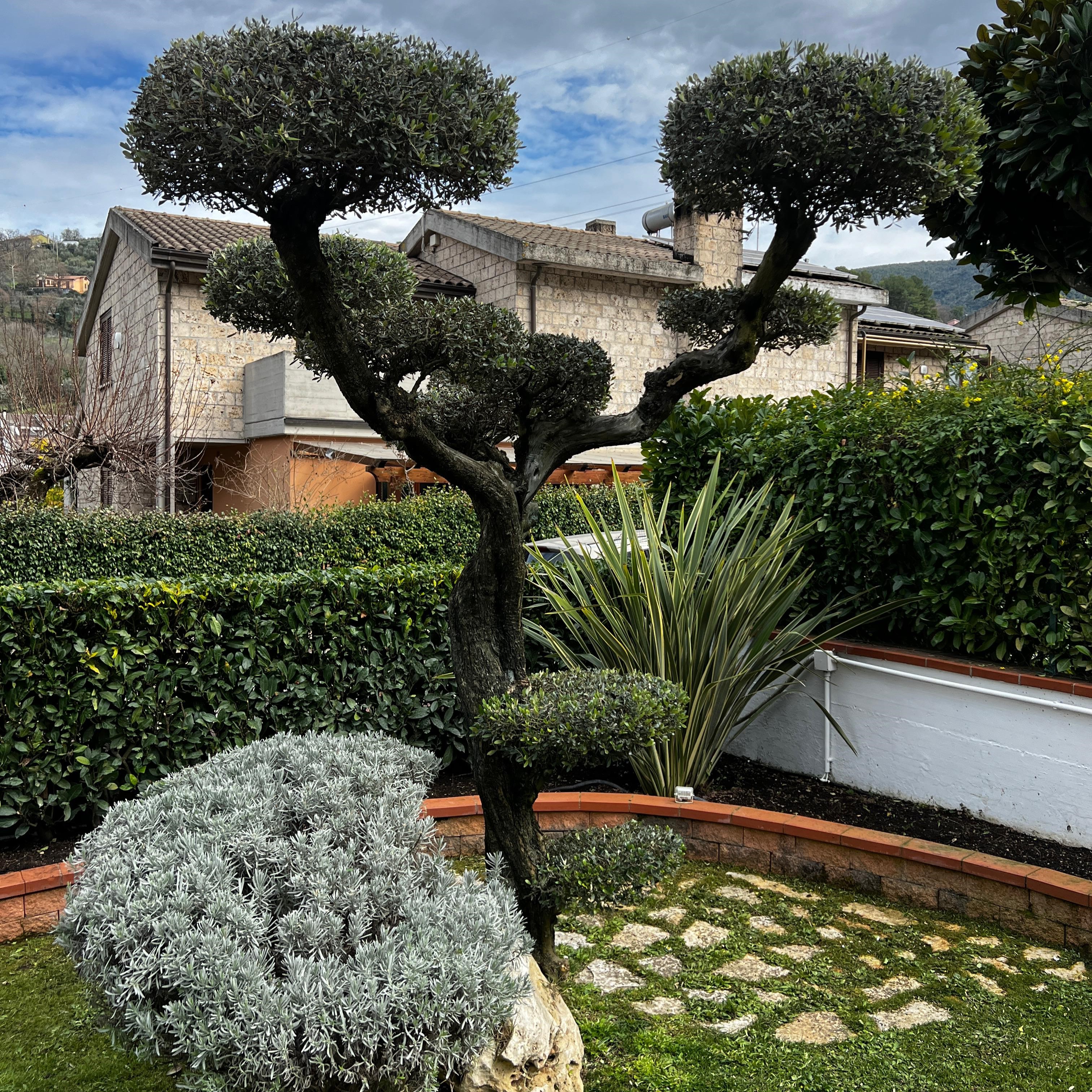 verde stabilizzato