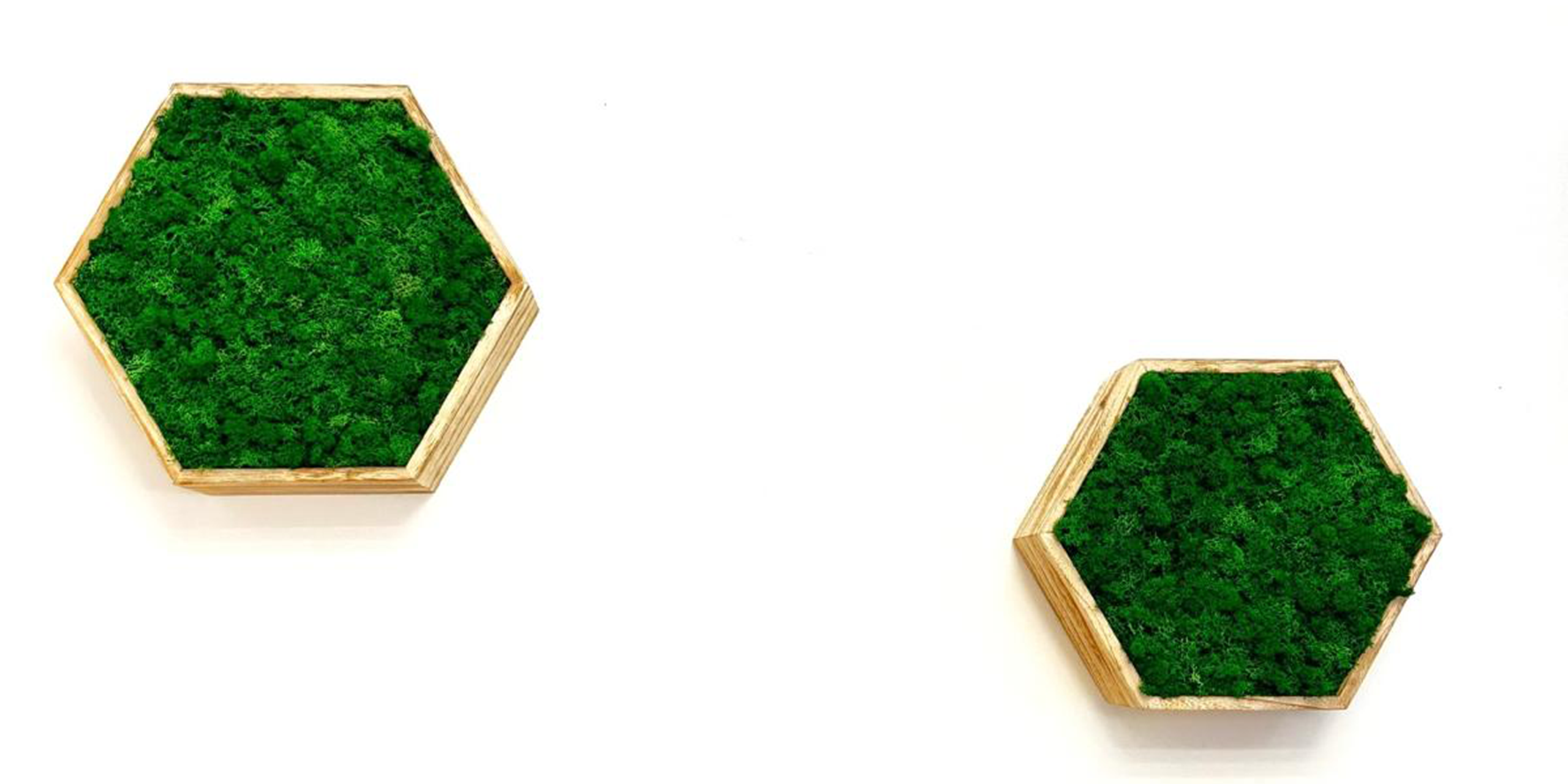 verde stabilizzato