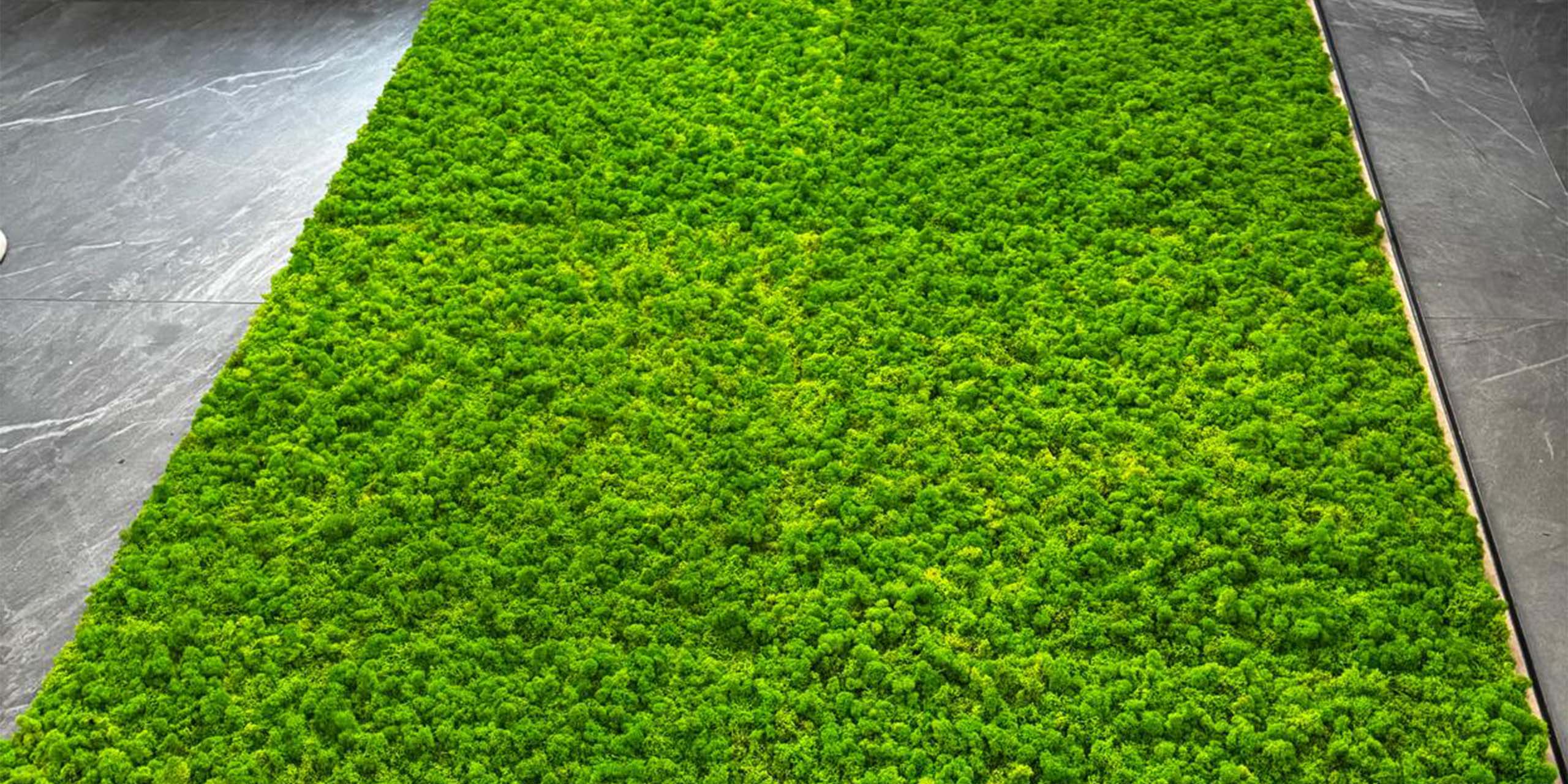 verde stabilizzato